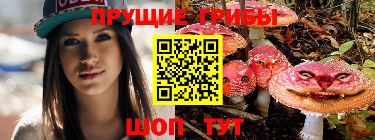 Канаш  Галлюциногенные грибы ЛСД  купить   Вход с VPN 